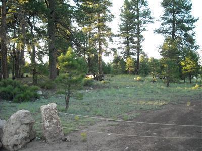 4751 E Monroe, Flagstaff, AZ 86004 photo 1