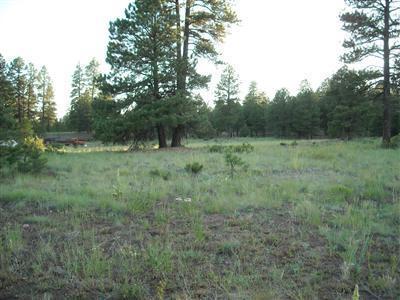 4751 E Monroe, Flagstaff, AZ 86004 photo 5