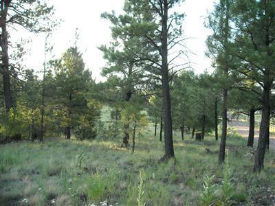 4751 E Monroe, Flagstaff, AZ 86004 photo 3