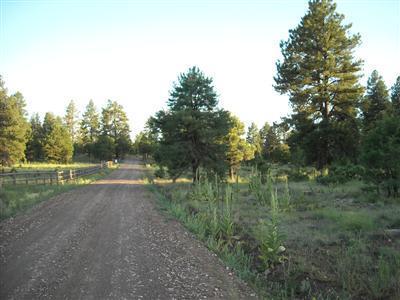 4751 E Monroe, Flagstaff, AZ 86004 photo 6