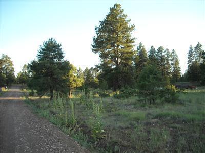 4751 E Monroe, Flagstaff, AZ 86004 photo 2