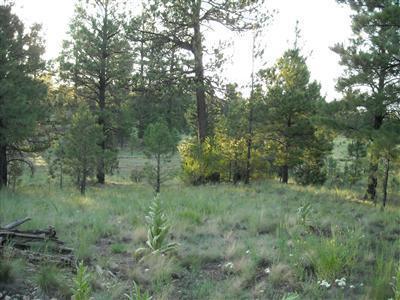 4751 E Monroe, Flagstaff, AZ 86004 photo 4