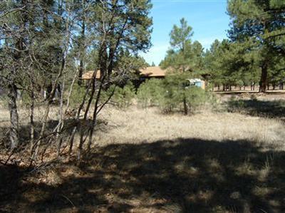 3575 E Pine Top Dr, Williams, AZ 86046 photo 7
