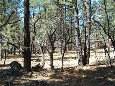 3575 E Pine Top Dr, Williams, AZ 86046 photo 5