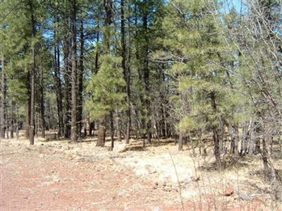 3575 E Pine Top Dr, Williams, AZ 86046 photo 9