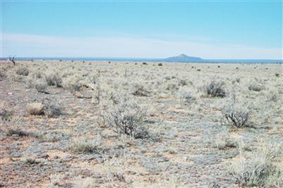 74 E Princeton Ave, Williams, AZ 86046 photo 5