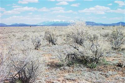 74 E Princeton Ave, Williams, AZ 86046 photo 3