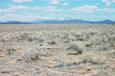 74 E Princeton Ave, Williams, AZ 86046 photo 2