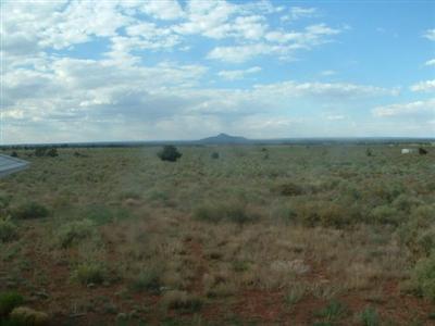 793 E Birch Rd, Williams, AZ 86046 photo 8