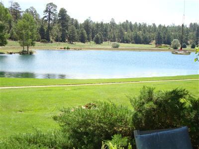 6306 E Willow Loop, Flagstaff, AZ 86004 photo 6
