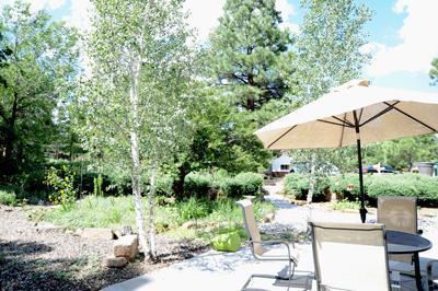 21 E Cedar Ave, Flagstaff, AZ 86001 photo 26