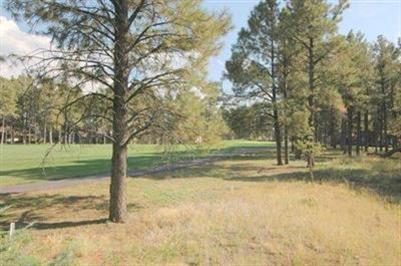 4510 E Coldstream Ln, Flagstaff, AZ 86004 photo 9