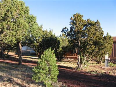 1732 E Whitehall Dr, Williams, AZ 86046 photo 18