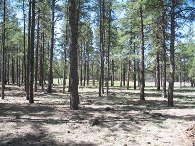 698 E Flat Rock, Flagstaff, AZ 86001 photo 1