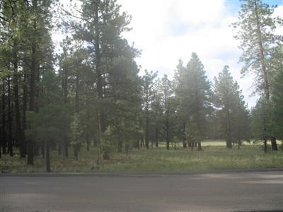 698 E Flat Rock, Flagstaff, AZ 86001 photo 8