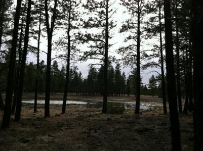 698 E Flat Rock, Flagstaff, AZ 86001 photo 2