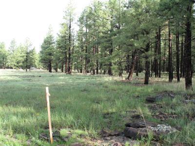 698 E Flat Rock, Flagstaff, AZ 86001 photo 6