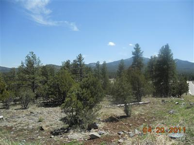 301 Trilogy Dr, Williams, AZ 86046 photo 5