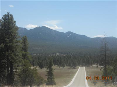 301 Trilogy Dr, Williams, AZ 86046 photo 1