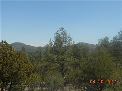 301 Trilogy Dr, Williams, AZ 86046 photo 3