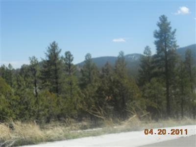301 Trilogy Dr, Williams, AZ 86046 photo 2