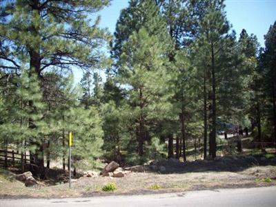 558 Comanche St, Flagstaff, AZ 86001 photo 2