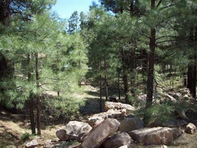 558 Comanche St, Flagstaff, AZ 86001 photo 3