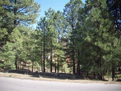 558 Comanche St, Flagstaff, AZ 86001 photo 7