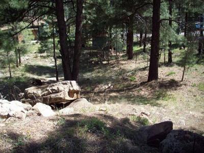 558 Comanche St, Flagstaff, AZ 86001 photo 4