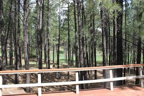 5310 E Mount Pleasant Dr, Flagstaff, AZ 86004 photo 14