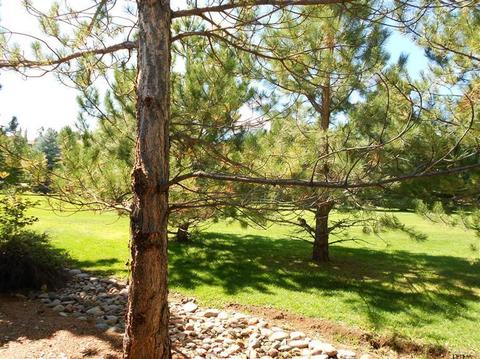 6101 E Laurel Loop, Flagstaff, AZ 86004 photo 15