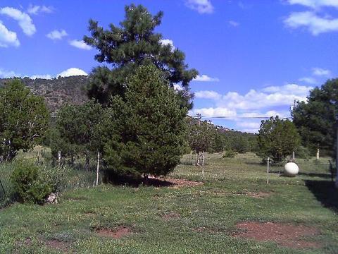 483 E Orchid Dr, Williams, AZ 86046 photo 13