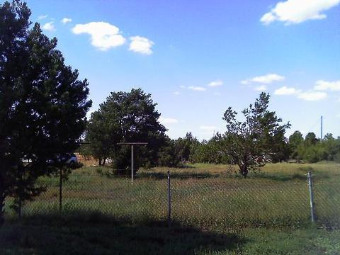 483 E Orchid Dr, Williams, AZ 86046 photo 12