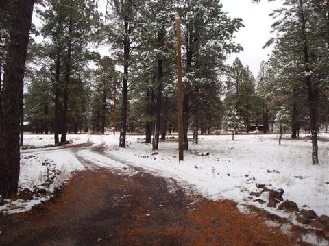 7112 E Long Bow Dr, Williams, AZ 86046 photo 3