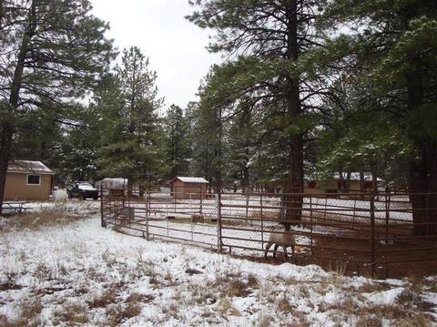 7112 E Long Bow Dr, Williams, AZ 86046 photo 5