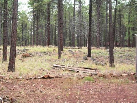 7876 E Robin Hood Rd, Williams, AZ 86046 photo 11