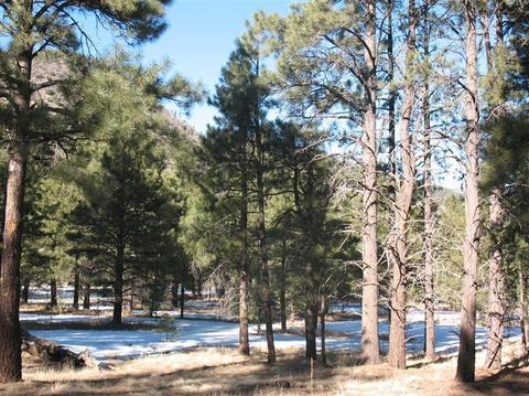 825 E Flat Rock Ridge Rd, Flagstaff, AZ 86001 photo 1