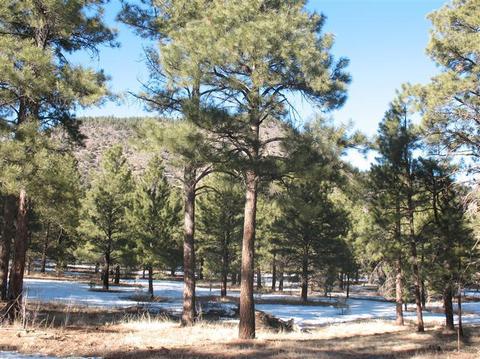 825 E Flat Rock Ridge Rd, Flagstaff, AZ 86001 photo 3
