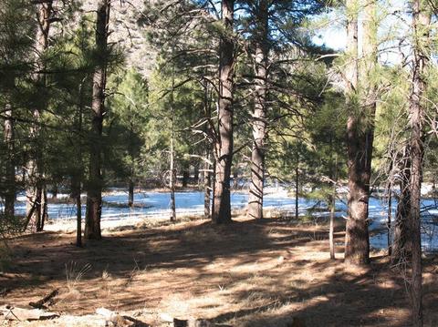 825 E Flat Rock Ridge Rd, Flagstaff, AZ 86001 photo 2