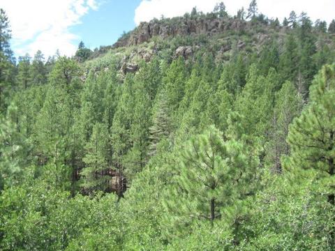 1656 W Canyon View Loop Loop, Williams, AZ 86046 photo 5