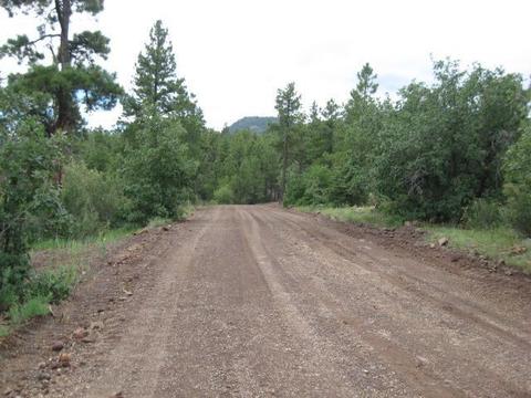 1656 W Canyon View Loop Loop, Williams, AZ 86046 photo 2