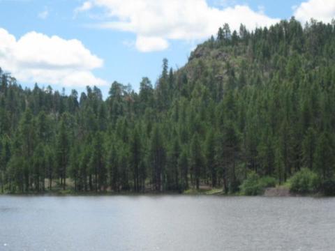 1656 W Canyon View Loop Loop, Williams, AZ 86046 photo 6
