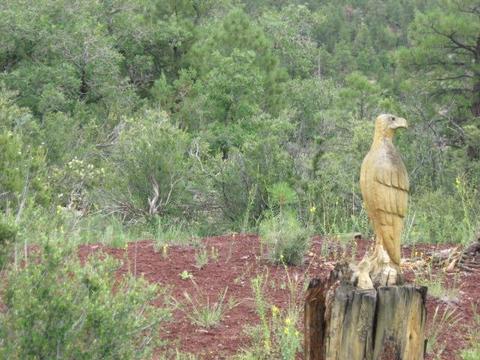 1656 W Canyon View Loop Loop, Williams, AZ 86046 photo 3