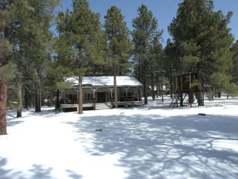 7193 E Long Bow, Williams, AZ 86046 photo 3