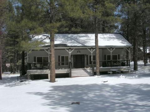 7193 E Long Bow, Williams, AZ 86046 photo 4