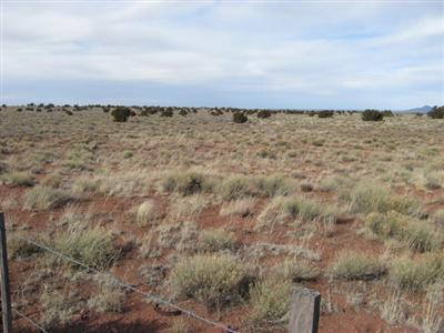2657 E Lynwood Rd, Valle, AZ photo 4