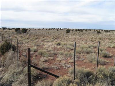 2657 E Lynwood Rd, Valle, AZ photo 1