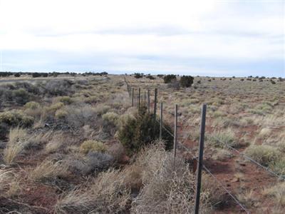 2657 E Lynwood Rd, Valle, AZ photo 2