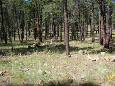 3305 Pinetop Dr, Williams, AZ 86046 photo 19
