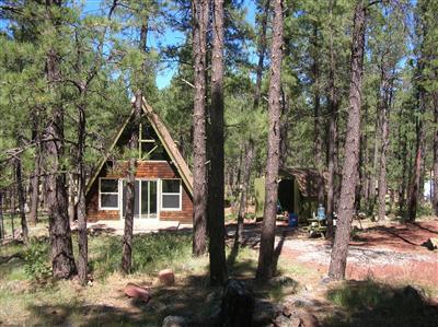3305 Pinetop Dr, Williams, AZ 86046 photo 2